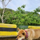 은척농협 이미지