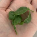 유원한의원 | 🩵🐍 2025년 7월 일상 이모저모