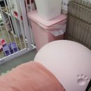 도도네 개집 이미지