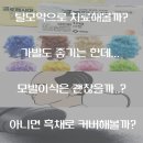 아산천안탈모관리 어떤 방법으로 치료하나요? 이미지