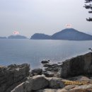 305농장 티스토리