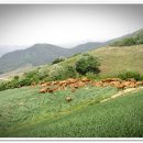 풍경목장 이미지