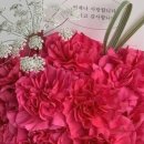 가든오브캄 네이버블로그