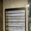 더예뻐지다