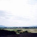 분청사기요지 이미지