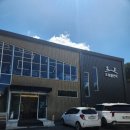 사슴자연방목장 | 꽃사슴이 있는 태백 가볼만한 곳 초록뿔언덕카페 후기!!