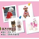 한마음 애견용품 이미지