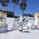 고돌이네 | 2025 평창송어축제 기본정보 입장료 및 꿀팁 솔직후기