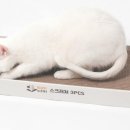 멍냥이노리터 이미지