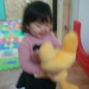 해선어린이집 이미지