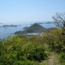 명금농산물