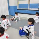 동탄 경희대 태권도장 이미지