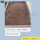 한빛 꽃농원 이미지