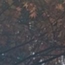 와인치과의원 이미지