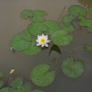 호수정원 이미지