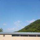 개뭉치 반려견 훈련센터 이미지