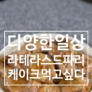 웨돔거시기 | 케이크가 맛있는 라테라스드파리 후기와 일상들