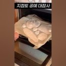 지점토 오브제 만들기 아무나 성공하는게 아니다 (개웃김 제발 봐줘) 이미지