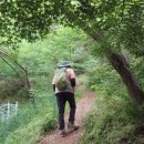 송악산 숲길 이미지