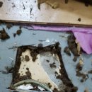 다압가스 이미지