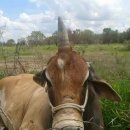 유니콘농장 이미지