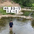 땅콩 게임장 이미지