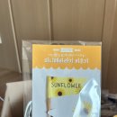 동탄 청림태권도장 이미지