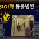 하이펫동물병원 네이버블로그