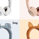 버디앤버디 이미지