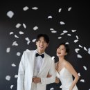 모먼트위