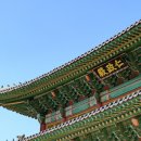 월악산특산물 이미지