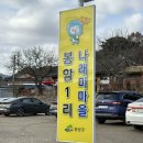 카페248