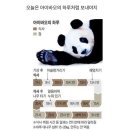 Y24 이미지