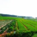 베스트원부동산중개법인주식회사 이미지