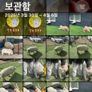 우리슈퍼 | [남양주/이색카페] 나랑 알파카 보러 갈래? 옴뇸뇸 카페 후기~