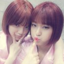 아리따운 이미지