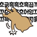 농가맛집매화당 이미지