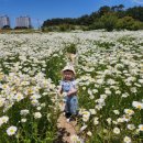 슬도주차장 이미지