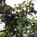 호왕농장 이미지