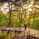 순환로 405번길 이미지