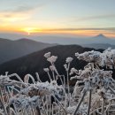 일본 남알프스(Japan South Alps, 3193m) : 히로가와라/정상/나라다온천 이미지