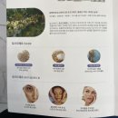 피어나피부미인