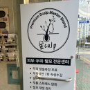 가꾸는동안의정부