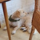 오영농장 이미지