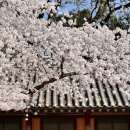 제주종합경기장 실내수영장 이미지