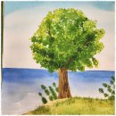 모네모네미술교습소 이미지