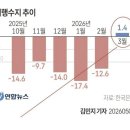 한국 여행수지 흑자 전환 이미지