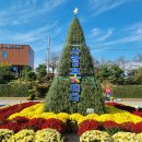 논산시민공원 이미지