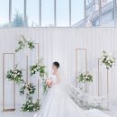 묘해 | [결혼 #19] 내돈내산 본식스냅 묘해스냅 후기 완전 추.천.(진심)