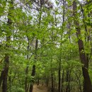 엔제리너스커피익산미륵산점 | 익산 미륵산 등산코스 주차장 소요시간 맛집 추천